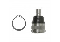 Rotule de suspension ADM58656 Blue Print