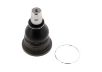 Rotule de suspension FI-BJ-13610 Moog