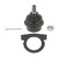 Rotule de suspension KI-BJ-13409 Moog, Vignette 2