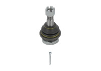 Rotule de suspension L14546 Monroe