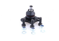 Rotule de suspension L24535 Monroe