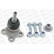 Rotule de suspension L25557 Monroe
