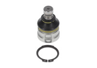 Rotule de suspension L42547 Monroe
