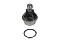 Rotule de suspension NI-BJ-4926 Moog