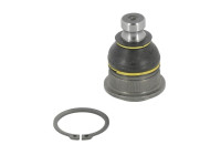 Rotule de suspension RE-BJ-2832 Moog