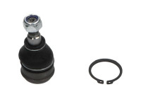 Rotule de suspension SBJ-5535 Kavo parts