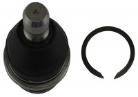 Rotule de suspension SBJ-6550 Kavo parts