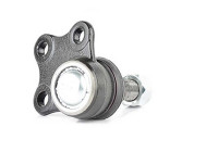 rotule