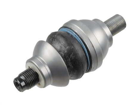 rotule