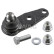 Rotule