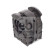 Suspension, stabilisateur 104773 FEBI, Vignette 2