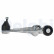 Bras de commande, suspension de roue TC4593 Delphi, Vignette 7