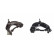 Ensemble de dents de fer SET_ADG086247_ADG086248 Blue Print