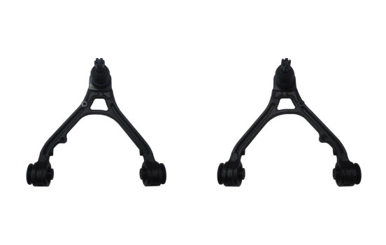 Ensemble de dents de fer SET_SCA-2218_SCA-2219 Kavo parts