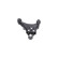 Ensemble de dents de fer SET_SCA-4038_SCA-4039 Kavo parts, Vignette 10