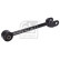 wishbone 180424 FEBI, Vignette 2