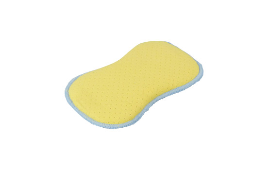 Protecton 2 in 1 sponge