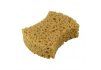 Protecton sponge 'Extra strong'