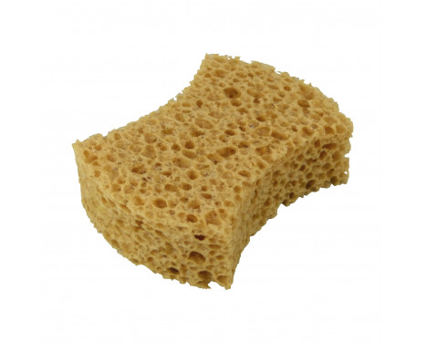 Protecton sponge 'Extra strong'