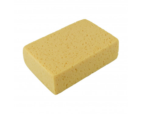Protecton sponge