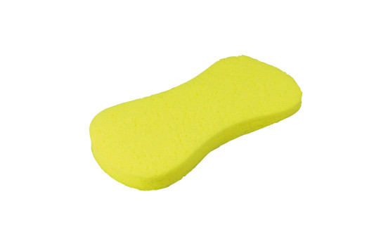 Protecton Swear Sponge