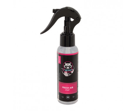 Racoon Car Fragrance Air Freshener Fresh 100ml