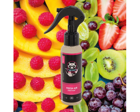 Racoon Car Fragrance Air Freshener Tutti Frutti 100ml, Image 3