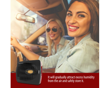 Pingi Electric Rechargeable Car Dehumidifier