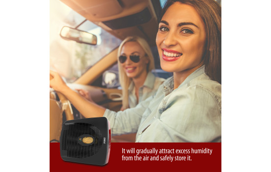 Pingi Electric Rechargeable Car Dehumidifier, Image 4