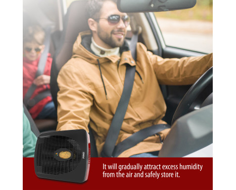 Pingi Electric Rechargeable Car Dehumidifier, Image 8