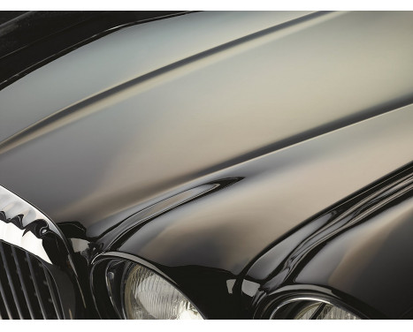 Sonax Premium Class Carnauba Care, Image 6