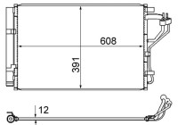 Condenser, air conditioner