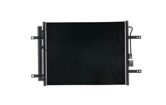 Condenser, air conditioner