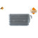Evaporator, air conditioning 36075 NRF, Thumbnail 4