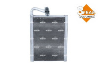 Evaporator, air conditioning 36194 NRF