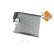 Evaporator, air conditioning 36206 NRF