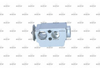 Expansion valve, air conditioning