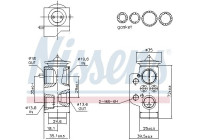 Expansion valve, air conditioning