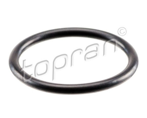 Sealing ring