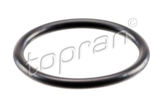 Sealing ring