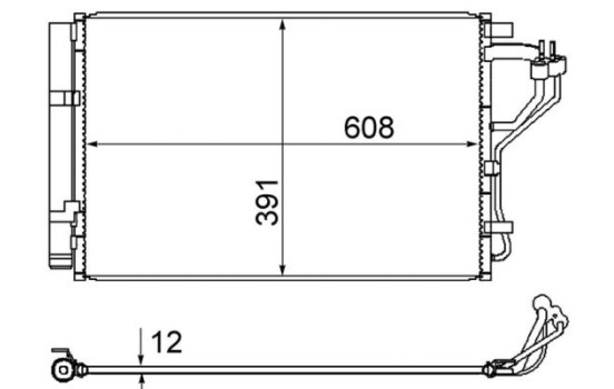 Condenser, air conditioner