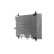 Condenser, air conditioning BEHR, Thumbnail 8