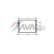 Condenser, air conditioning PRA5052 Ava Quality Cooling, Thumbnail 2