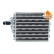 Evaporator, air conditioning 36024 NRF, Thumbnail 3