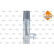 Evaporator, air conditioning 36162 NRF, Thumbnail 4