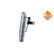 Evaporator, air conditioning 36181 NRF, Thumbnail 4