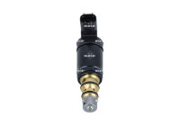 Control valve, Compressor