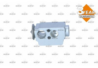 Expansion valve, air conditioning