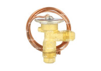 Expansion Valves