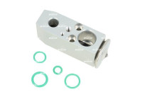Expansion Valves